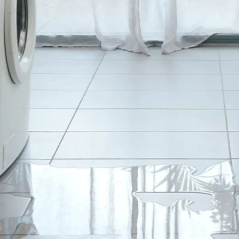 Appliance Leak Cleanup in Mount Airy, NC