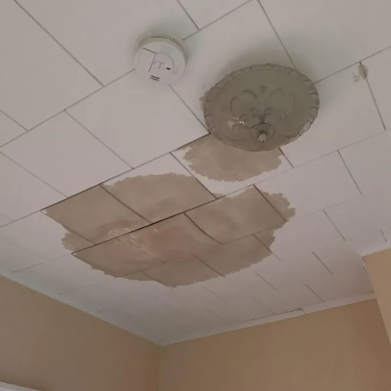 Ceiling Water Damage Repair in Mount Airy, NC