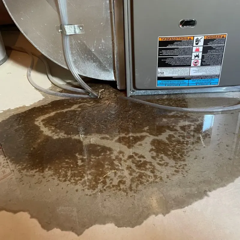 Pipe Burst and Leak Restoration in Mount Airy, NC