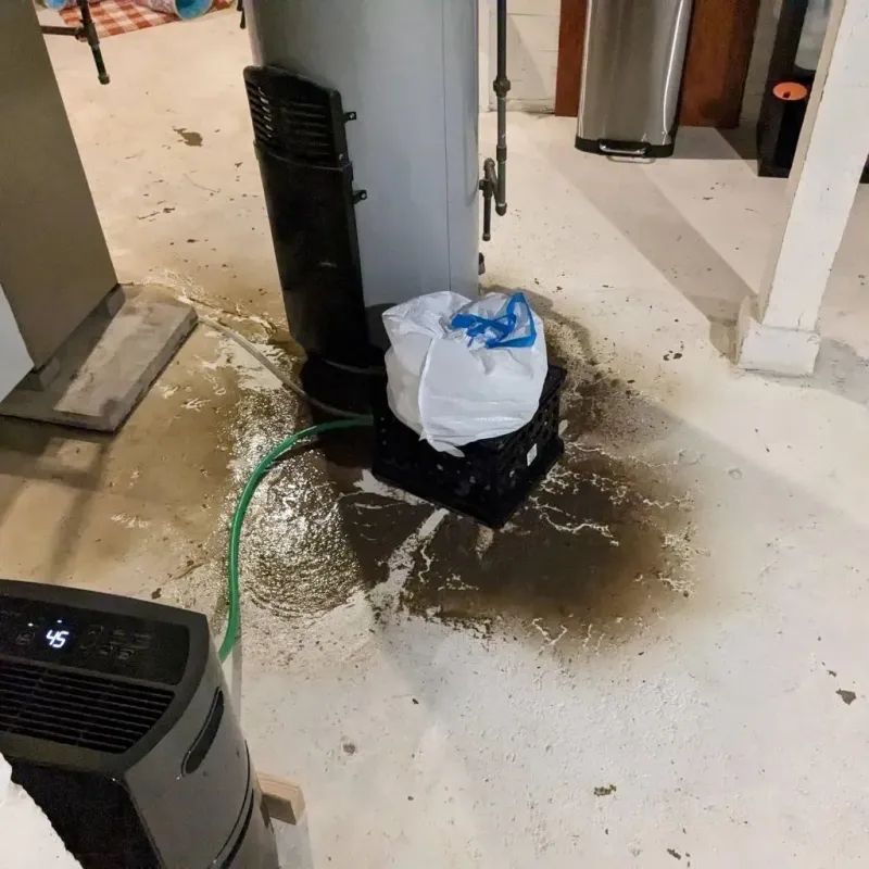 Sewage Backup Cleanup Service in Mount Airy, NC